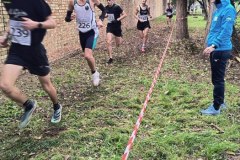 photo_2025-11-16_21-37-18